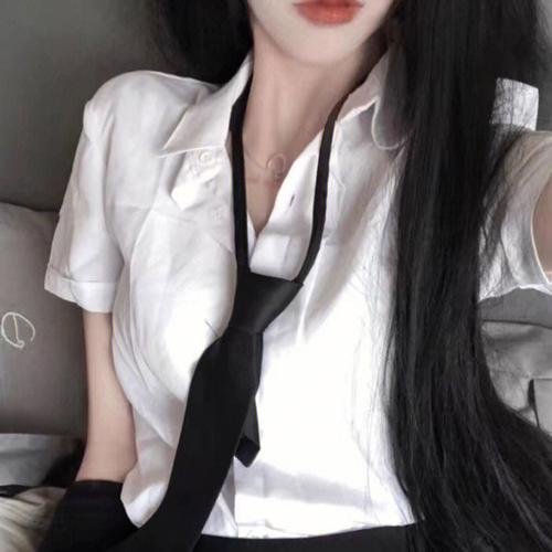 茄子 安达鲁西亚之夏